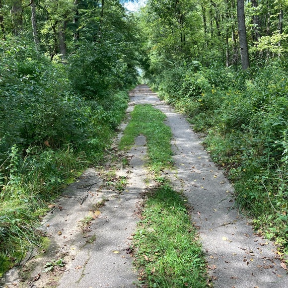 Meet your Posher, Scott - Picture 3 of 3